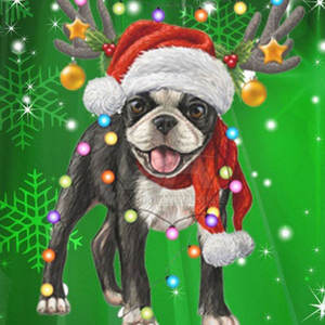 Venta caliente Nueva llegada Mujeres Sudaderas CON CAPUCHA DE Navidad Venta al por mayor de diseño personalizado Mujeres Sudaderas CON CAPUCHA DE Navidad - Product Image 6