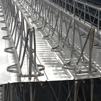 Plancher de toit d'usine pour le coulage du béton Pont de sol en treillis renforcé Fabricant de plaques de roulement en acier
