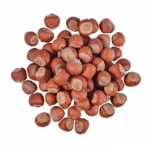 Meilleure offre de noix de noisette disponible crue rôtie ou en coquille approvisionnement en vrac avec un faible minimum de commande et une qualité d'exportation supérieure - Product Image 5