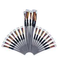 2,54mm DuPont Elektronischer Kabelbaum 16-polig PVC-Kabelkonfektion Kupferkern 24V Nennspannung Bildschirm USB 300mm IP20