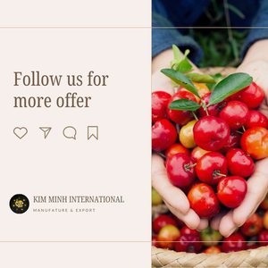 Jus de Purée de Fruits d'Acerola 100% Frais, Stérilisé, Sans Sucre, Emballage en Vrac Premium, 20kg, Marque KMI, Exporté du Vietnam - Product Image 4