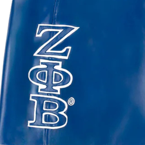 Jupe Zeta Pretty Kitty en édition limitée, jupe courte en cuir vegan pour femmes, sororité grecque, design de marque Zeta Phi Beta - Product Image 4