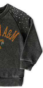 Jersey y Sudadera con capucha unisex de primera calidad, ropa personalizada FAMU Florida A & M University para hombres y mujeres, estilos de invierno - Product Image 3