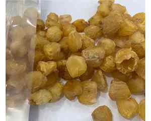 ลำไยแห้งจำนวนมากเนื้อสะอาดเนื้อนุ่มเหมาะสำหรับผู้นำเข้าลำไยแห้งจาก99GD ผู้ส่งออก - Product Image 1