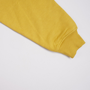 Sweats à capuche personnalisés pour hommes Sweat à capuche en molleton biologique pour hommes Sweat-shirt à capuche en coton biologique Livraison DDP - Product Image 5