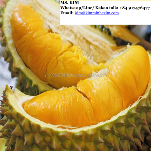 Bột Sầu Riêng Đông Lạnh Từ Việt Nam - Product Image 6