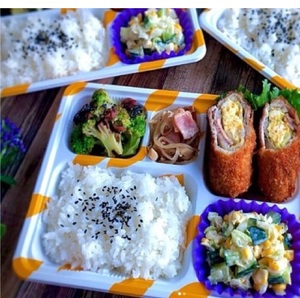 Plato bento desechable, japonés - Product Image 1