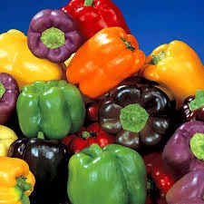 100 Pcs Seeds Colorful Colorful Bell Pepper Seeds Fresh Bell Pepper Potted Soil Gift