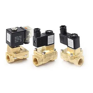 Fabrika satış 2 yollu 220v pirinç alaşım solenoit valf 3/4 inç 6v pirinç alaşım solenoit valf