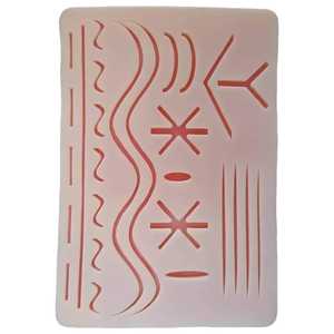 ชุดฝึกหัดเย็บแผลแบบครบชุดสำหรับนักศึกษาแพทย์และสัตวแพทย์ พร้อมแผ่นฝึกเย็บและเครื่องมือผ่าตัด - Product Image 3