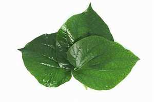 PUR CONGELÉ PIPER LOTLOT FEUILLE ÉTIQUETTE PROPRE NATURELLE À BASE DE PLANTES À BASE D'HERBES SOUTIEN IMMUNITAIRE DÉTOX - Product Image 5