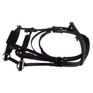 Orbes reutilizables no perennes, remium, haped - Product Image 3