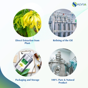 Wholesale Supplier Ylang Ylang <b>Essential</b> <b>Oil</b> Pure and Natural 100% <b>Oil</b> India - Product Image 5
