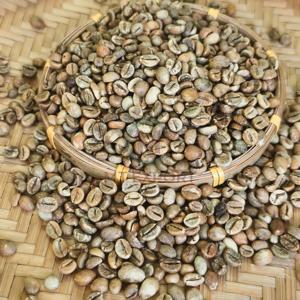 Grains de café vert Robusta du Vietnam Taille 18 Grains de café du Yunnan Grains de café de spécialité Export en vrac Fournisseur de café à corps corsé - Product Image 1