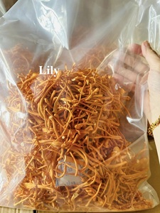 Cordyceps militar directo de fábrica liofilizado con servicio OEM/ODM/Lirio - Product Image 2