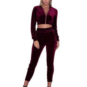 Vêtements pour femmes avec logo en diamant personnalisé Rhinestone Survêtement en velours court à capuche et pantalon de jogging Ensemble 2 pièces Survêtement en velours - Product Image 1