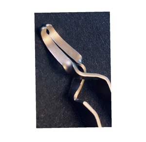 Wholesaler Top Value Hot Selling High Quality Stainless Steel Professional <b>Mini</b> Screw Forceps Self-Holding - Product Image 6