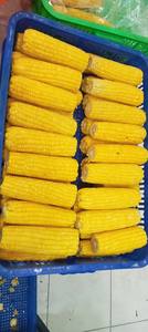 Maíz congelado Comida saludable Suministro de Vietnam para compradores globales Granos de maíz dulce de calidad premium para restaurantes y cadenas minoristas - Product Image 2