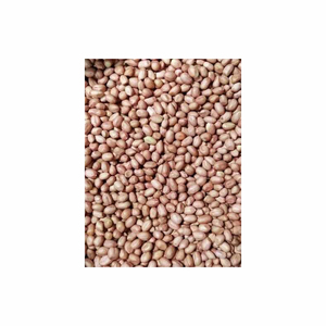 Arachides décortiquées salées grillées de haute qualité séchées sacs de noix de saveur d'ail de noyau cru pour un stockage pratique - Product Image 2