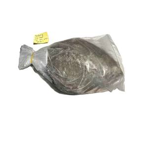 Pomfret Negro Entero Congelado, Envasado al Vacío, IQF a Granel - Product Image 3
