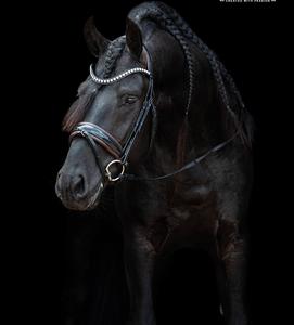 Bride Snaffle - Product Image 5