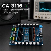 Module amplificateur audio pour voiture CA-3116-200W TPA3116D2 2x100W DC12-24V – Vente en gros, OEM, Fabricant d'enceintes, Assemblage