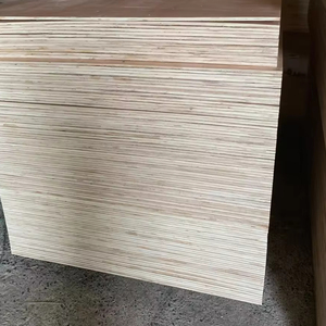 Contrachapado de embalaje frontal de diseño moderno Bintangor con núcleo de madera dura estándar E2 al mejor precio - Product Image 1