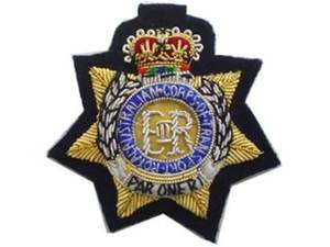 Insignes d'ailes brodées en fil métallique fait à la main Insignes de broderie d'ailes de meilleure qualité OEM - Product Image 5