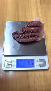 أطعمة بحرية صينية لذيذة، ذراع حبار برأس، ذراع حبار صغير، طعام بحري للبيع، مصدر صيني - Product Image 5