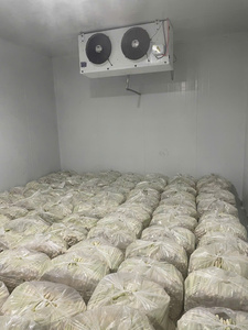 Citronnelle aromatique congelée IQF de qualité supérieure du Vietnam fraîchement récoltée meilleur choix pour les amateurs de légumes-Caryln 0084935825297 - Product Image 3