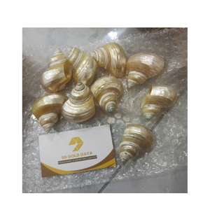 Anneau de serviette coquillage Matériau turbo naturel Artisan Fabriqué pour la décoration de salle à manger rustique du Vietnam - Product Image 5