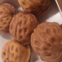 Machines à biscuits en noix de Corée, Machine à pain électrique en noix, 16P, 30P