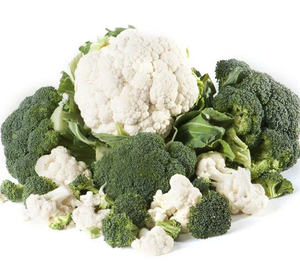 Lo mejor de Dalat: brócoli orgánico de calidad de exportación de Vietnam - Product Image 5