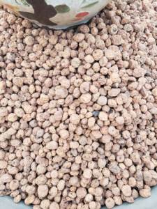 Nueces de Tigre Orgánicas Puras Blanqueadas y Secas, Cultivo Natural en Austria, Paquete a Granel, Grado 100, 24 Meses de Vida Útil, Buenas Ofertas - Product Image 3