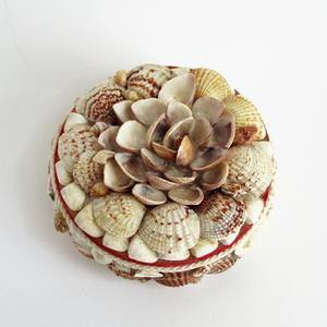 Top Choice regalos recuerdos mini joyería baratija caja océano mar Concha cubiertas cajas para pendientes - Product Image 4