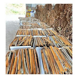Guipi/ Qirfa/ Split Cinnamon Precios DE EXPORTACIÓN COMPETITIVOS buena calidad-Amigable (WA + 84362512699) - Product Image 3