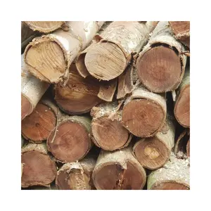 天然生木原木越南出口桉木原木燃料和工厂生产越南生木