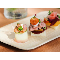 Assiettes rectangulaires profondes en feuilles de palmier d'arec écologiques et jetables, vaisselle compostable pour restaurants, fêtes et événements