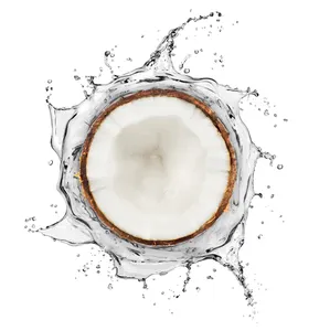 Multipurpose Gebruik Organische Mct Kokosolie Cosmetische Kwaliteit Huid-En Haarverzorgingsolie Verkrijgbaar Tegen De Laagste Prijs