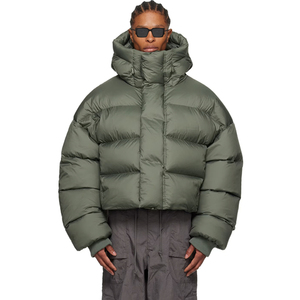 Chaqueta acolchada corta acolchada ligera Alpine Nest para hombre, chaqueta holgada de gran tamaño con capucha para invierno, estilo High Street - Product Image 1