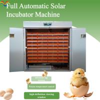 Incubateur solaire entièrement automatique pour 500 œufs, machine d'incubation solaire pour l'éclosion de poulets, canards, oies, cailles, élevage