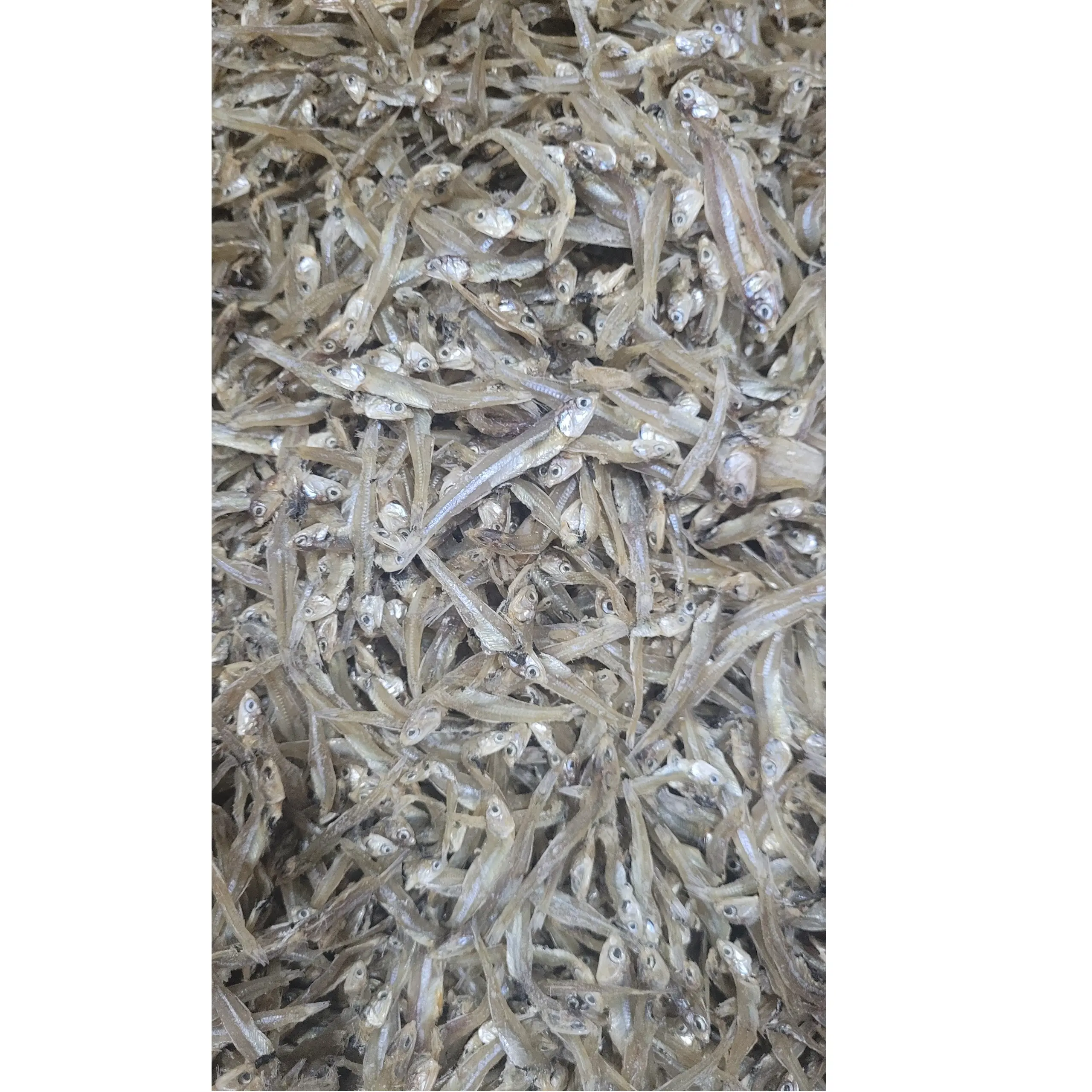 Seafood Whole Small Long Seafood Head R4 (5-7cm) High Quality Vietnam Raw Dried Anchovy Without Steam Fish Anchovy