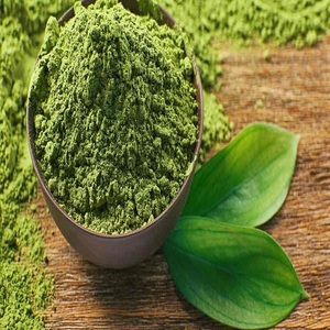 ผงสกัดชาเขียวบริสุทธิ์สารสกัดจากชาเขียว98% โพลีฟีนอล - Product Image 2