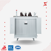 Transformateur de puissance triphasé stable de 200 kVA, 22 kV, immergé dans l'huile, avec topologie Flyback et sortie 415 V pour projets miniers