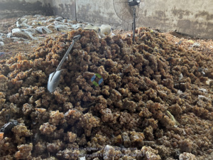 Poudre arabique de gomme soudanaise biologique poudre d'acacia traitée en Chine produit agricole à prix compétitif - Product Image 3
