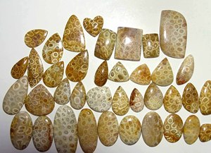 Cabochon de pierres précieuses en vrac de corail fossilisé naturel de meilleure qualité mélange de pierres précieuses en vrac forme et taille utilisation de pierres précieuses pour la fabrication de bijoux - Product Image 5