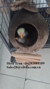 Tự Nhiên Vỏ Dừa Lồng Chim Động Vật Có Khuôn Mẫu Chim Tổ Nhà Cho Vật Nuôi Vẹt Hut Với Treo Đồ Chơi Cho Hamster Shyn tran - Product Image 3