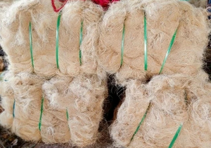 Fibra de coco cruda de producto superior fibras agrícolas ecológicas para la Agricultura tejer alfombras/esteras cría de animales-antibacterias - Product Image 2