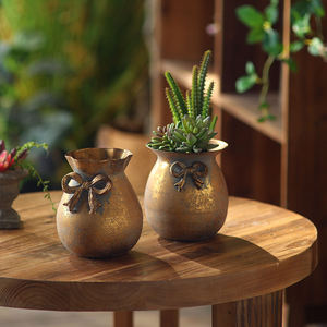 Macetas Decorativas de Metal para Plantas, Decoración de Mesa para el Hogar, Macetero para Suculentas de Interior, Florero, Artículo de Exhibición de Jardín Rústico Vintage, Regalo Decorativo - Product Image 1