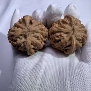 Lámpara de Sal de Piedra Danhong Fuli Coleccionable - Concha Roja Profunda Natural, Técnica Cruda, Forma de Flor, Colección Feng Shui de Gran Valor - Product Image 6